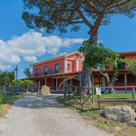Terra Di Vento Bed and Breakfast Montecorvino Pugliano Eksteriør billede