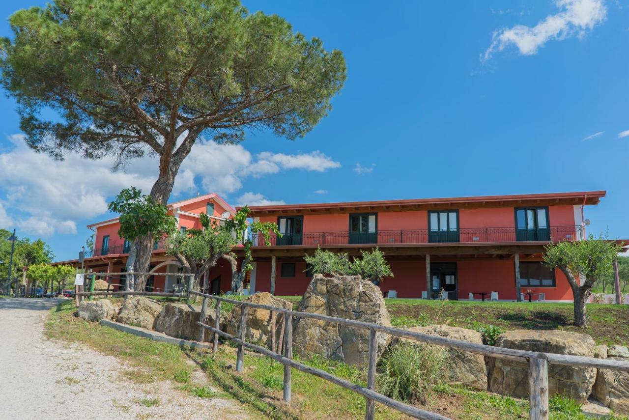 Terra Di Vento Bed and Breakfast Montecorvino Pugliano Eksteriør billede