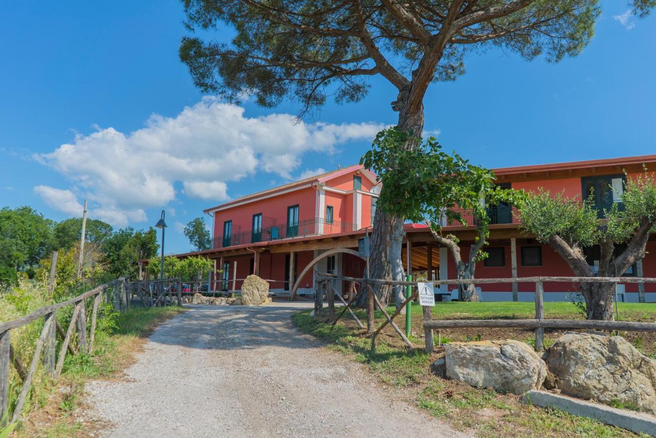 Terra Di Vento Bed and Breakfast Montecorvino Pugliano Eksteriør billede